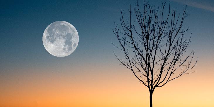 Como a Lua Influencia Nossas Emoções e Intuição nos Sonhos