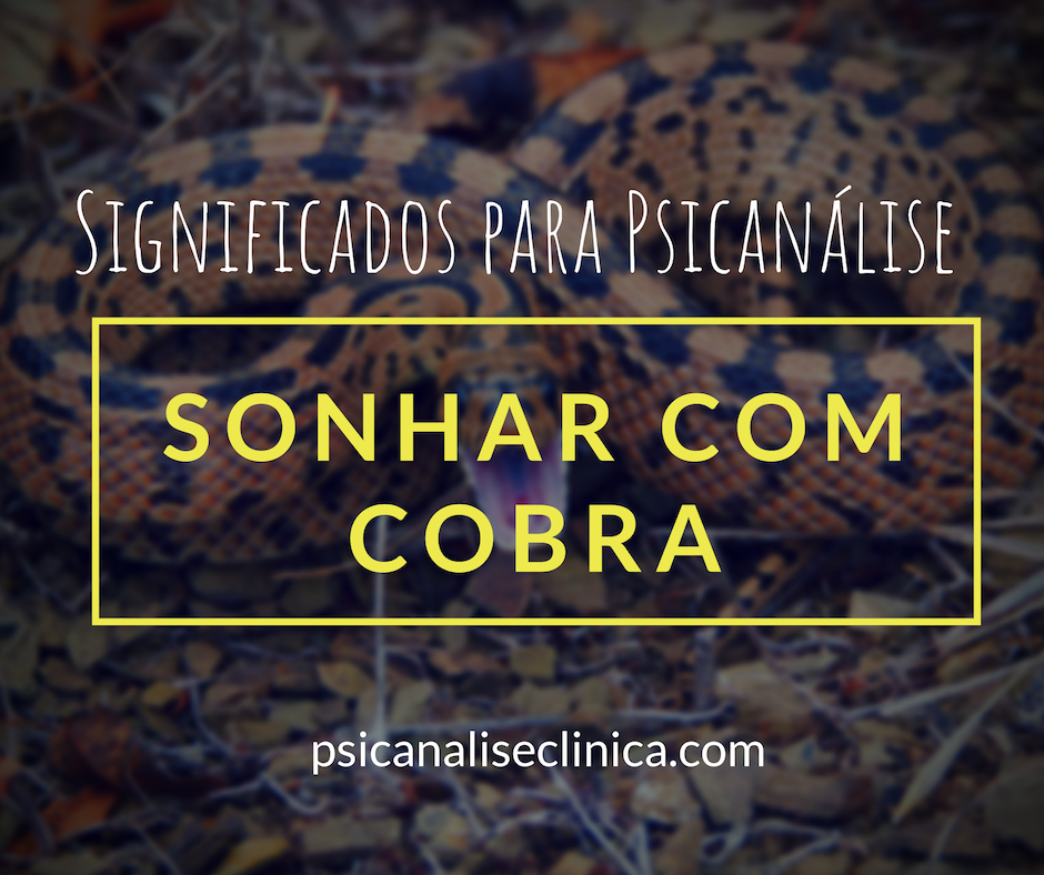 Sonhar com cobra coral: desvendando o simbolismo bíblico e espiritual