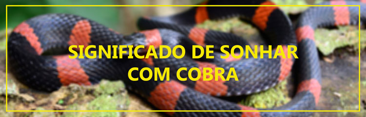 Como a Cultura Influencia a Interpretação de Sonhos com Cobras