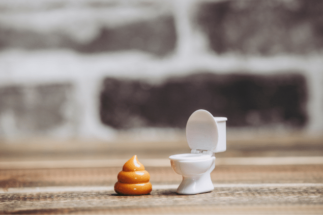 Sonhos com animais e seus significados esotéricos