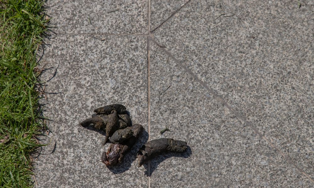 Como a limpeza emocional se reflete nos sonhos?