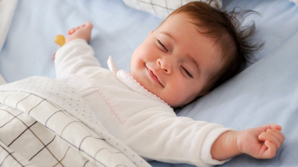 renovação e alertas