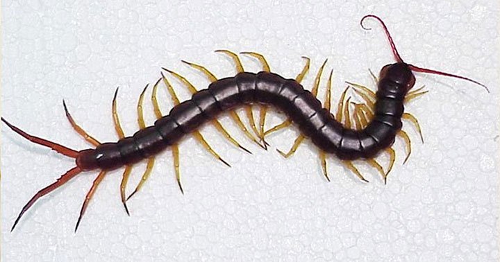 Como Lidar com Pessoas Negativas em Sua Vida