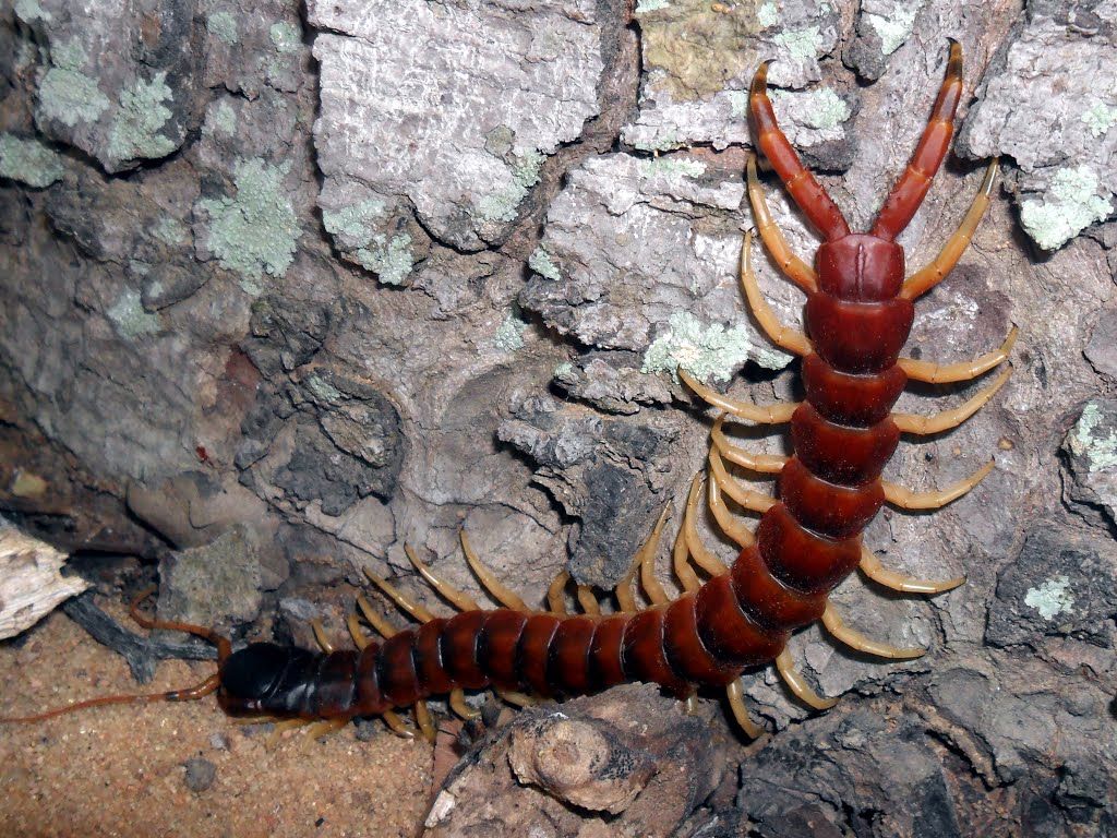 Sinais de que Você Está em Sua Jornada de Evolução Pessoal