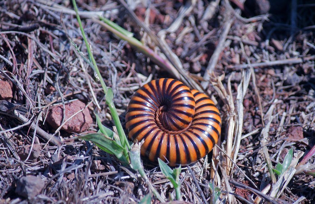 Como Lidar com Pessoas Negativas em Sua Vida