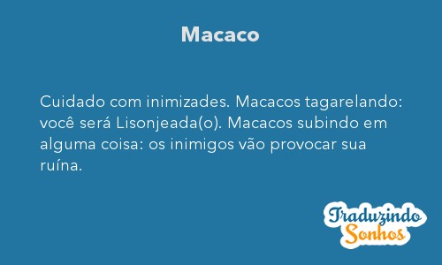 5 Arquétipos Animais Mais Comuns nos Sonhos e Seus Significados