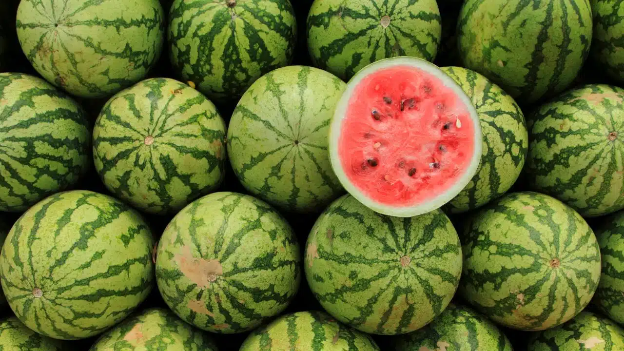 Sonhar com Frutas Estragadas: Guia Completo de Significados