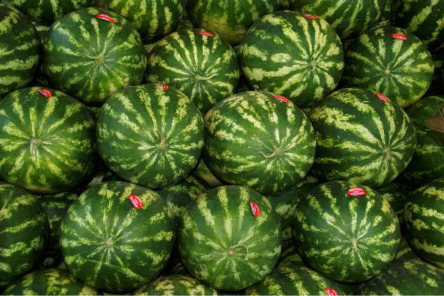 Melancia nos Sonhos: Prosperidade vs. Alerta