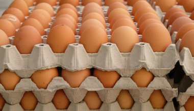 Como a Emoção Afeta a Interpretação dos Sonhos