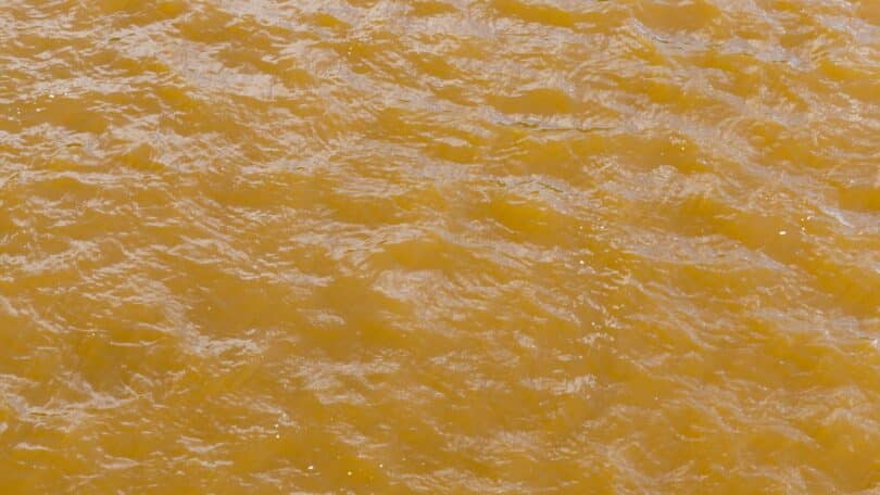 O papel dos rios na simbologia dos sonhos: fluxo e emoções