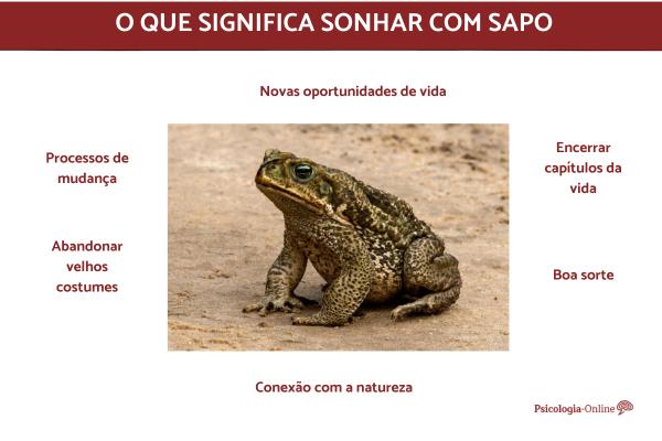 Sonhos de Prosperidade: Outros Sinais Positivos