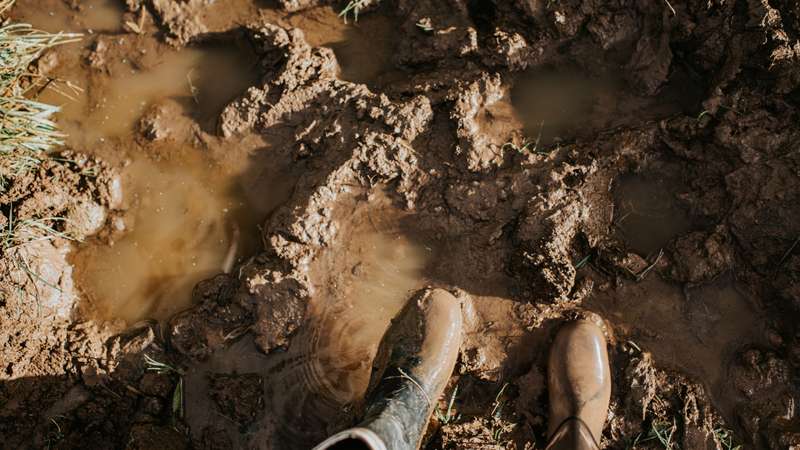 Sonhos com Terra Seca: Um Alerta para Suas Relações?