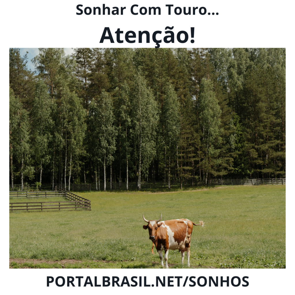 1. O que significa sonhar com touro bravo? Guia completo de interpretação
2. Sonhar com touro branco: símbolo de paz e sucesso honesto
3. Arquétipo do touro: como a força animal se manifesta nos seus sonhos
4. Significado espiritual de sonhar com touro: conexão com fertilidade e poder
5. Mitologia do touro: de Zeus ao Minotauro na interpretação de sonhos