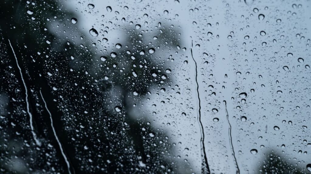 Sonhar com vento limpando a casa: um novo começo?