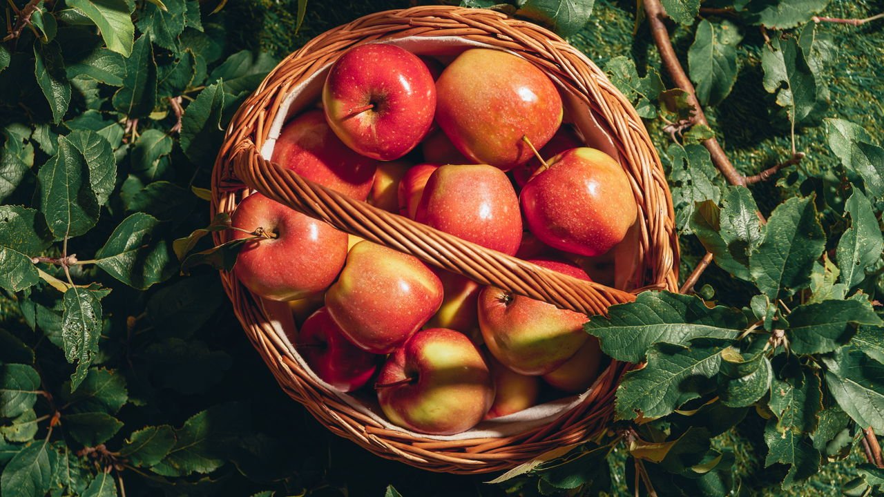 suco de maça benefícios