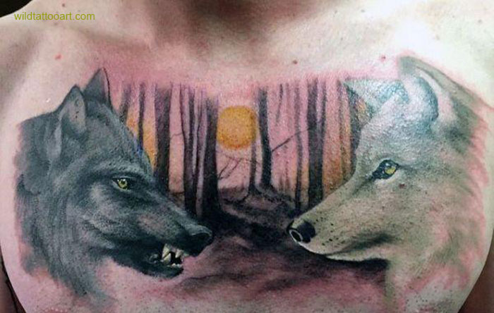 1. Tatuagem de Lobo: Guia Completo de Significados e Estilos
2. Os 5 Significados Mais Profundos da Tatuagem de Lobo
3. Tatuagem de Lobo Feminina: Inspirações e Simbolismos
4. Lobo Solitário vs. Matilha: Qual Tatuagem de Lobo Escolher?
5. Tatuagem de Lobo Geométrico: A União da Força com a Arte