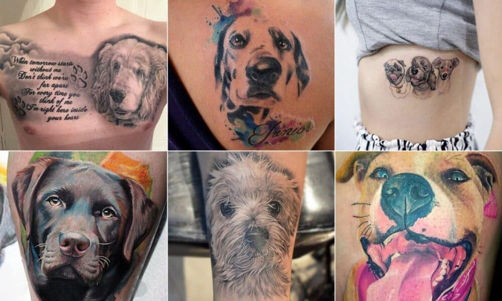 tatuagem cachorro minimalista