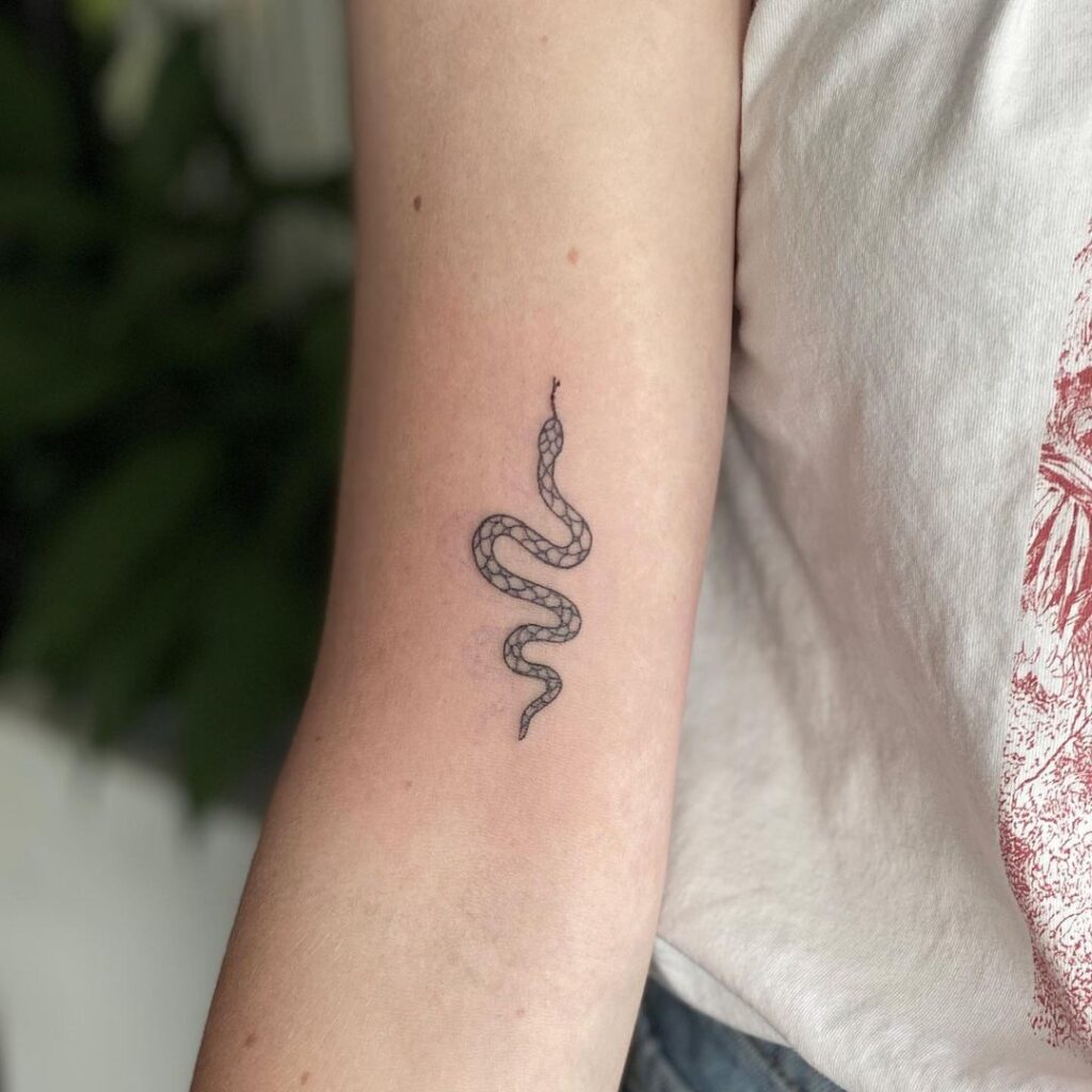 A História da Cobra na Tatuagem: De Asclépio a Wadjet