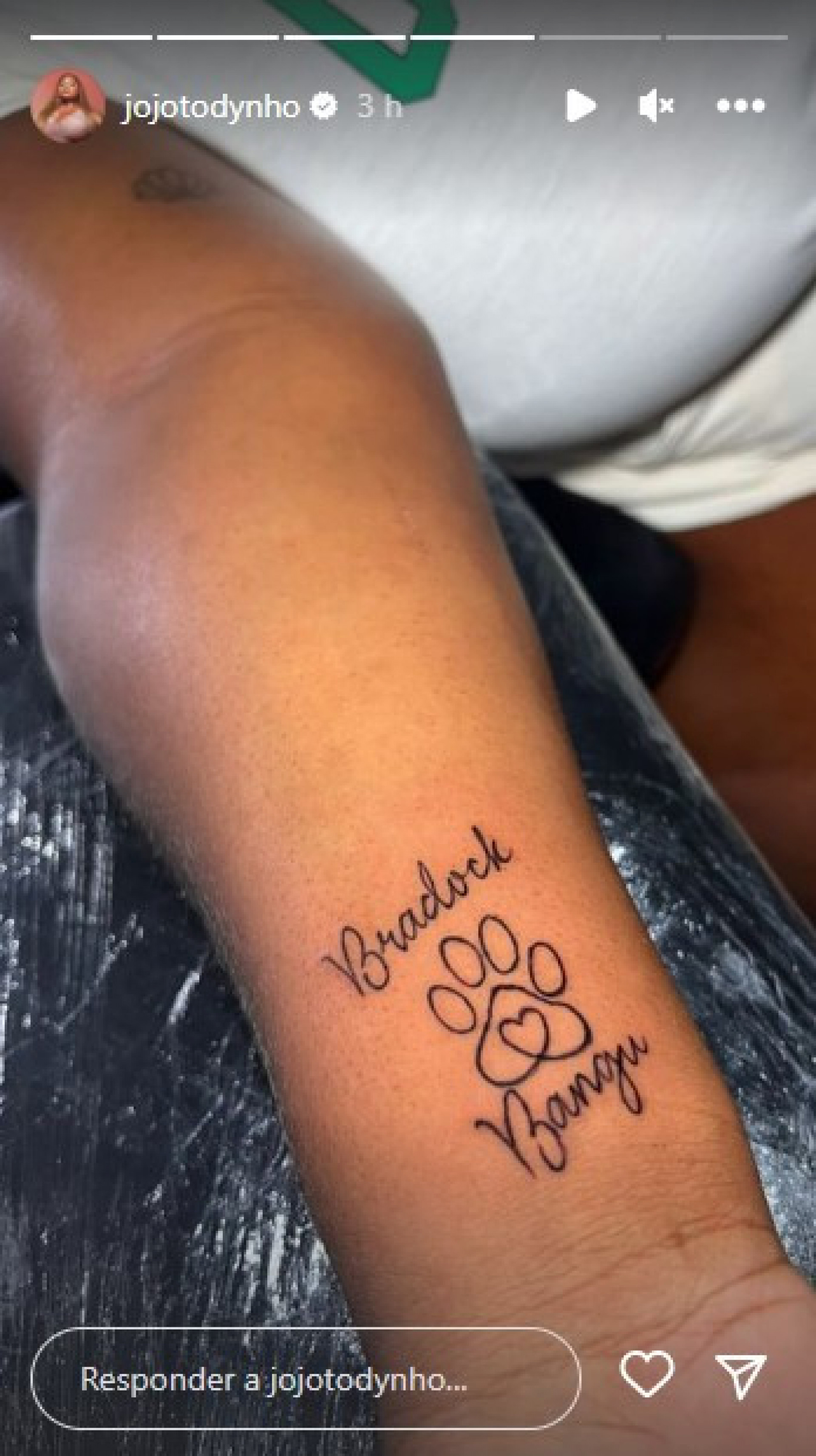 tatuagem cachorro que se foi