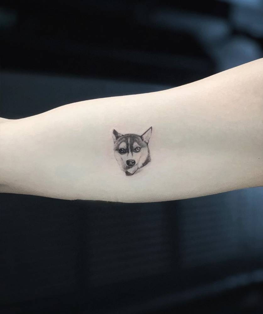 ideias tattoo amigo de quatro patas