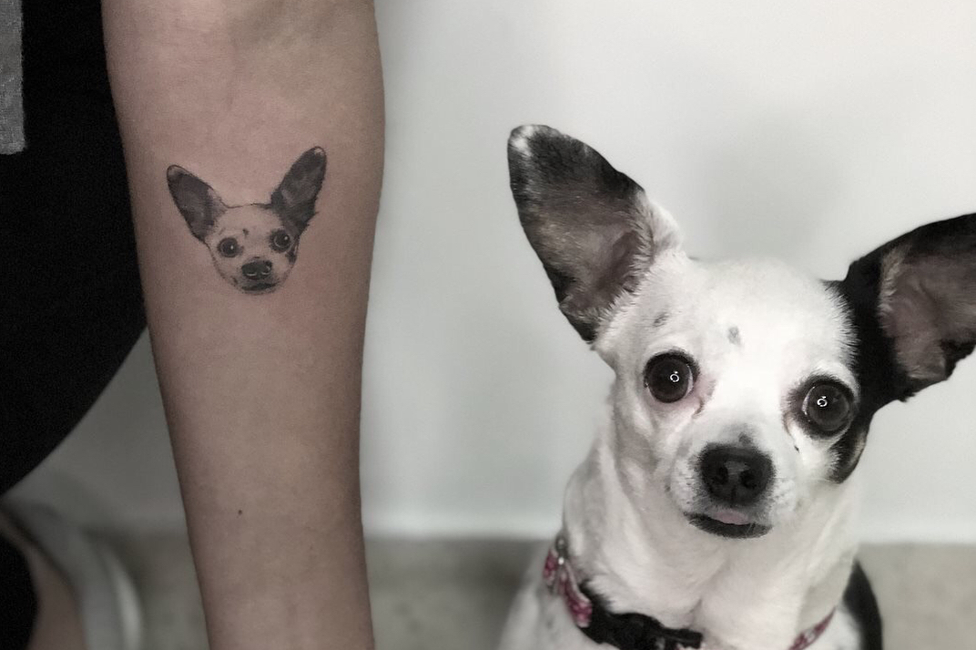 tatuagem memorial cachorro