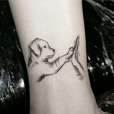 tattoo fineline cachorro