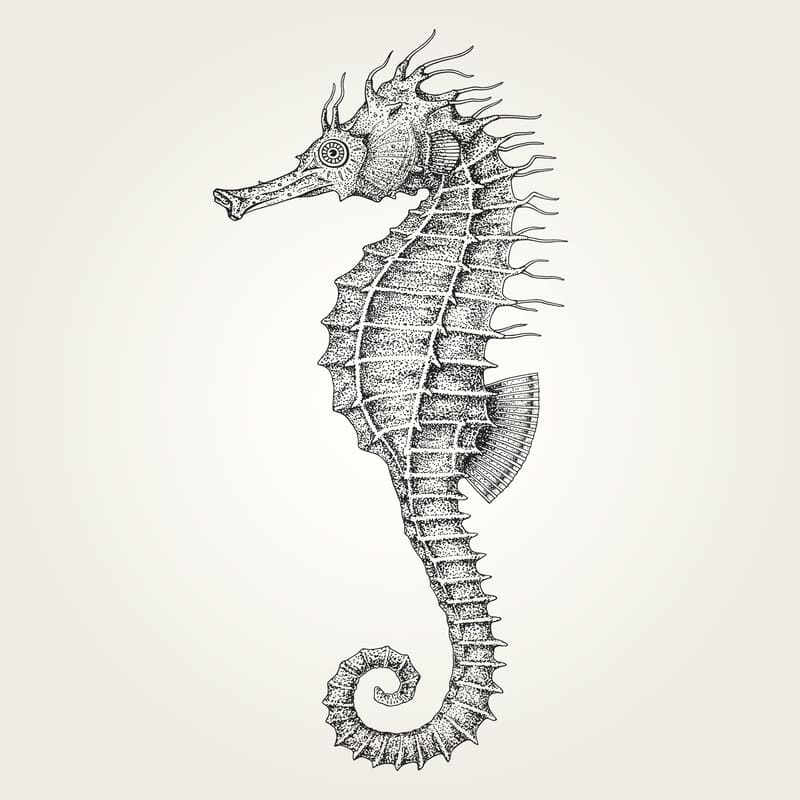 tatuagem pontilhismo