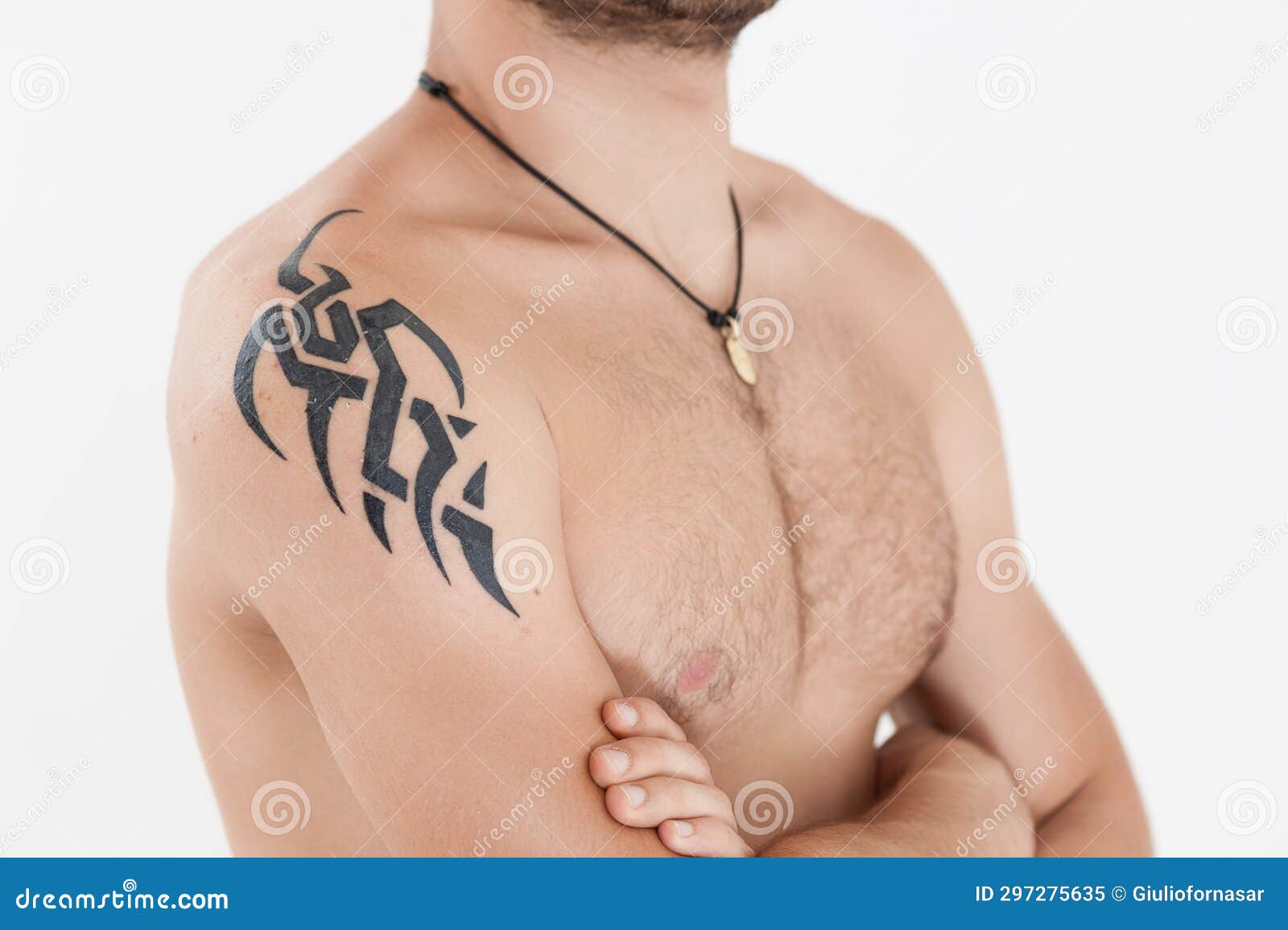 tatuagem de leão significado
