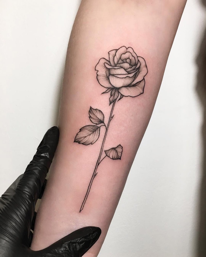 Tatuagem de Rosa e Seus Significados Ocultos: Cores e Elementos