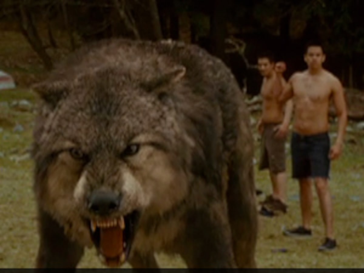 Comparativo: Jacob Black vs. Outros Lobisomens Famosos do Cinema