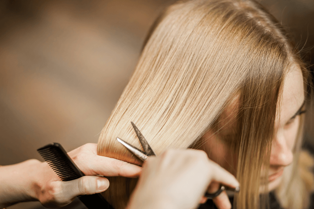 Slice Cut e Kitty Cut: As Técnicas de Texturização que Você Precisa Conhecer