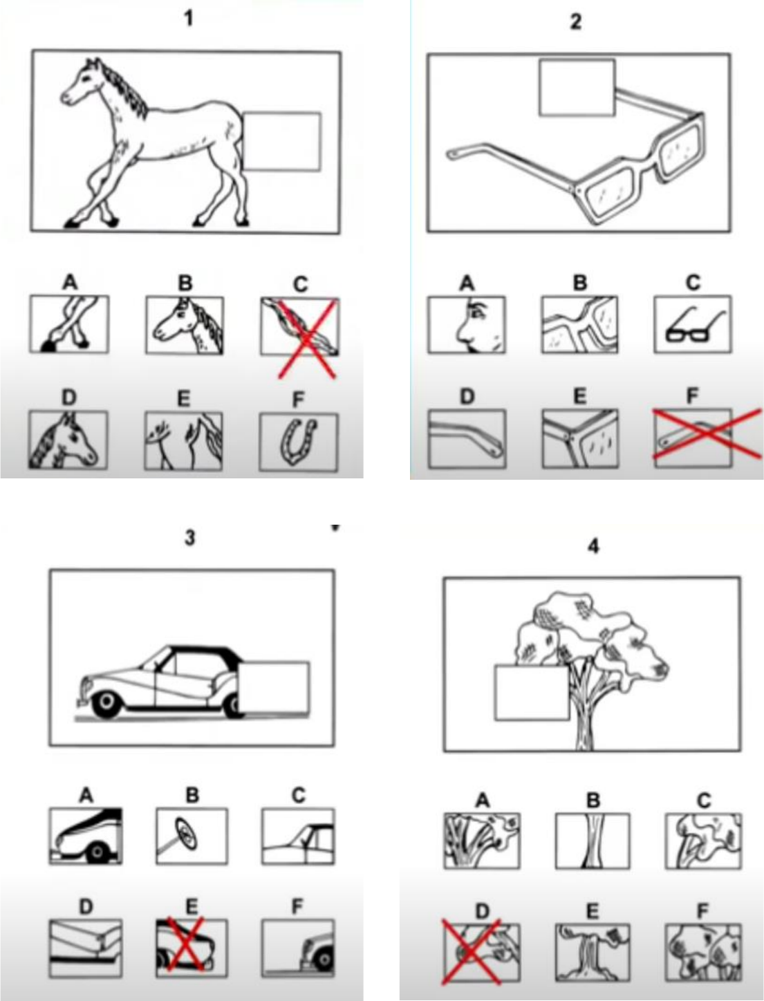 exercícios teste psicotécnico detran pdf