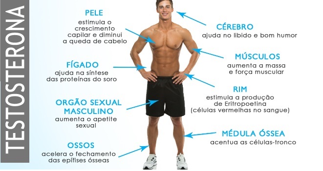 Como identificar os sintomas de baixa testosterona