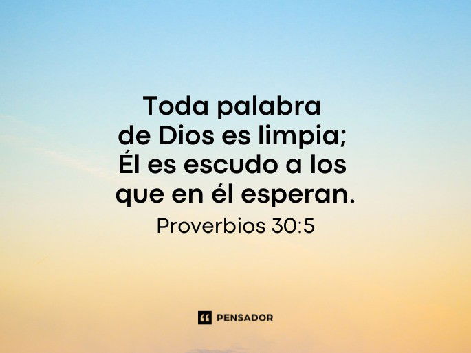 Como o Zen App Pode Transformar Sua Rotina de Bem-Estar