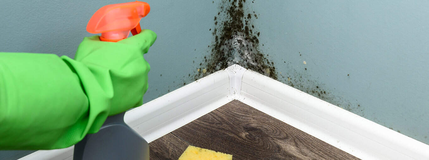 tinta para parede com umidade