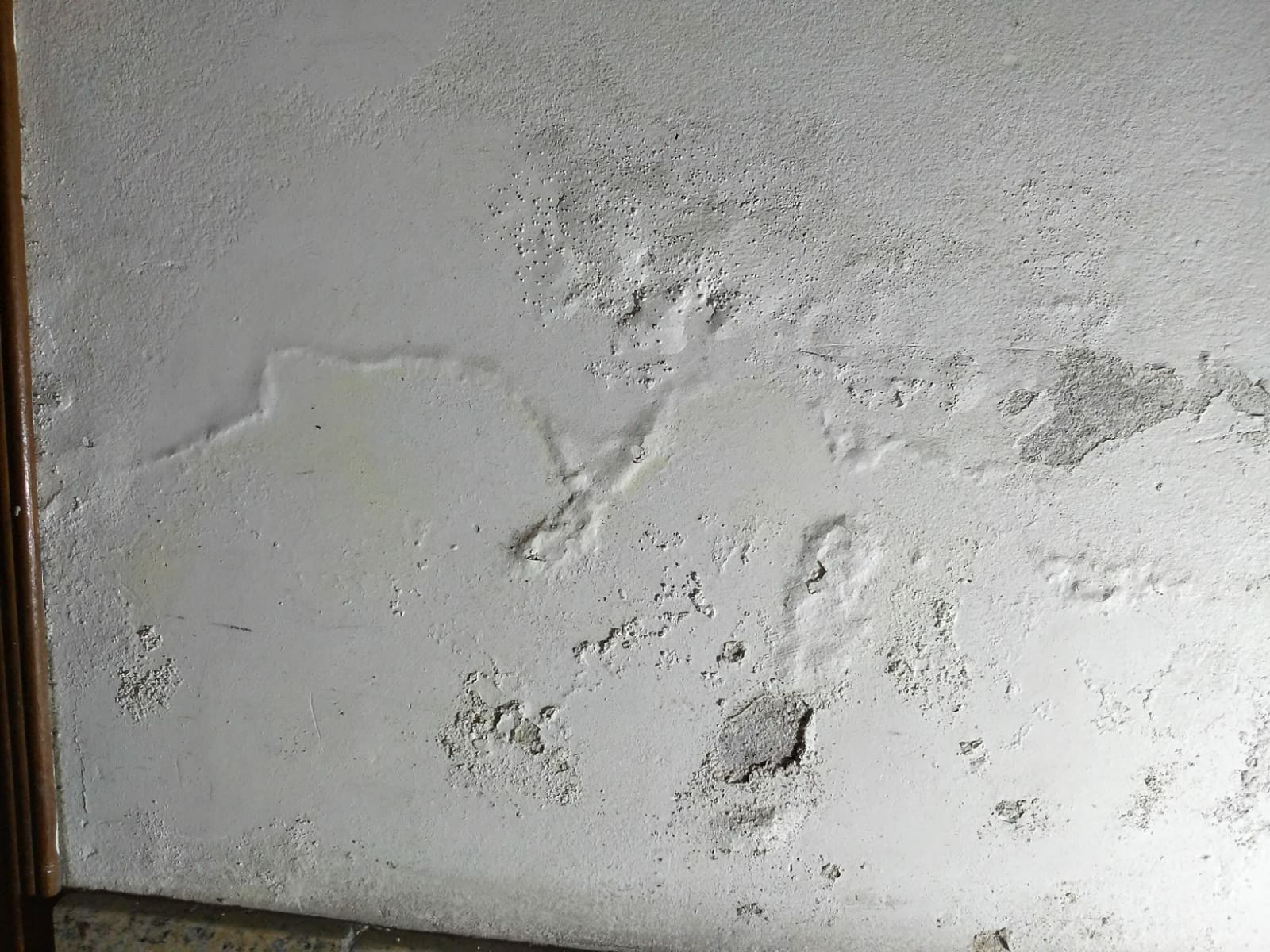 tinta para parede com umidade