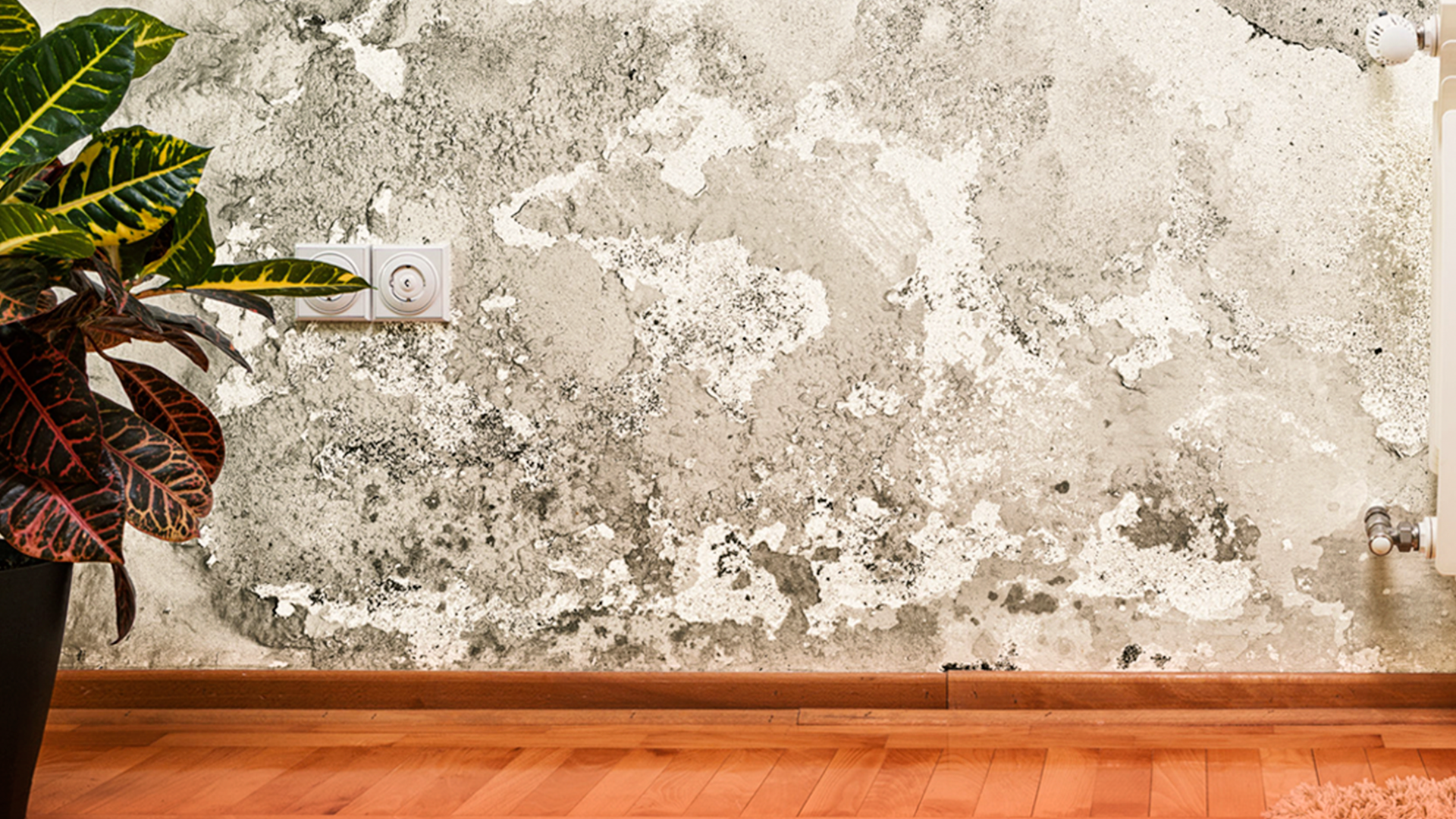 Como Preparar a Parede Antes de Aplicar Tinta Impermeável 7 em 1