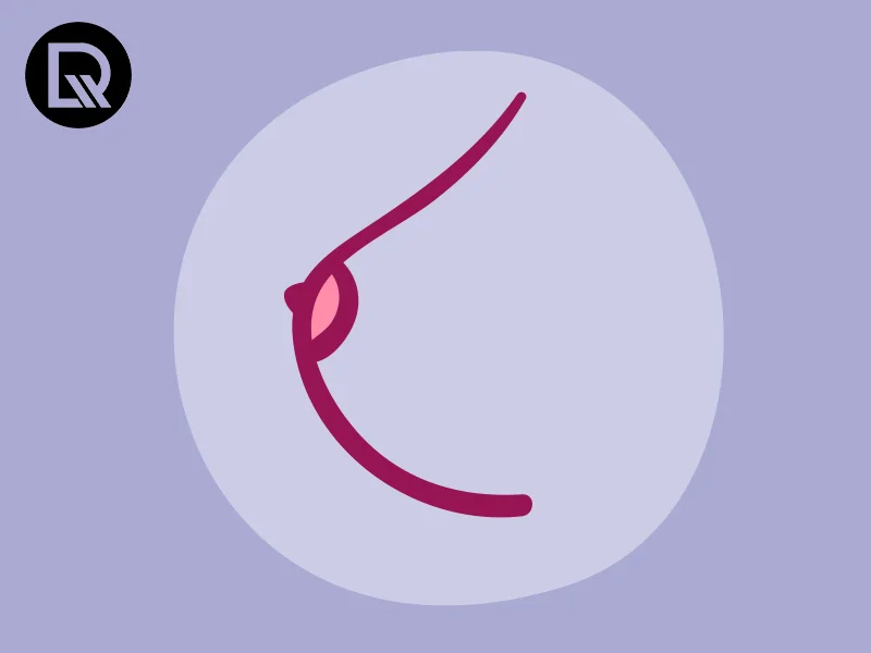 Tipos de Seios: Conheça as Características e a Diversidade Natural