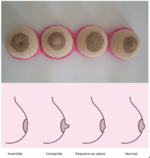 Descubra o Formato dos Seios: Guia Completo para Entender Suas Mamas