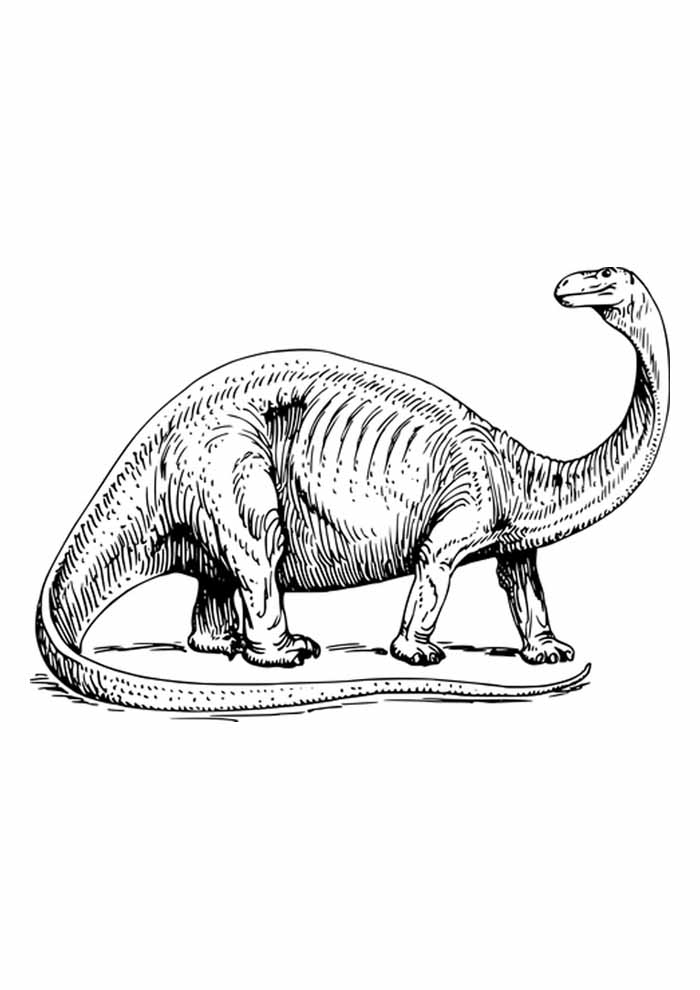 tiranossauro rex para pintar