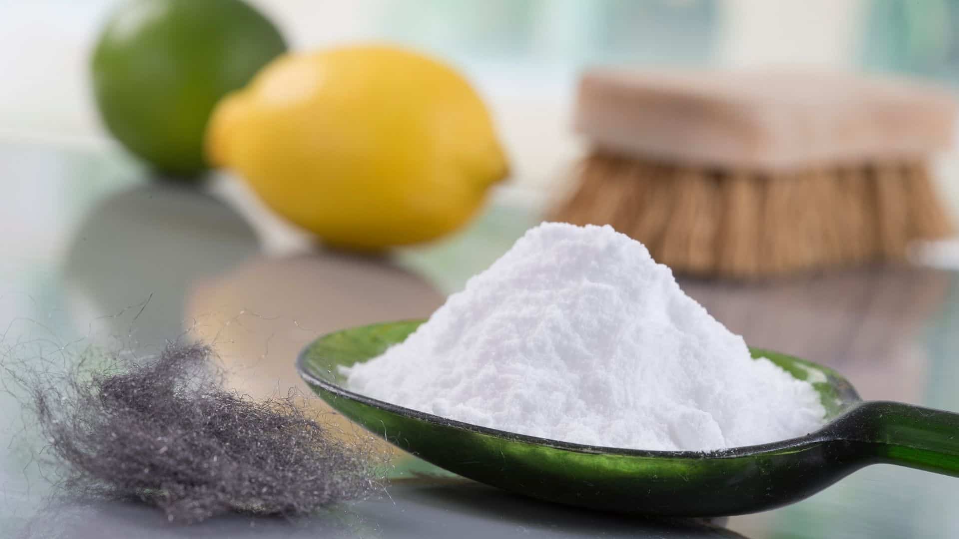 Melhores produtos antimofo do mercado