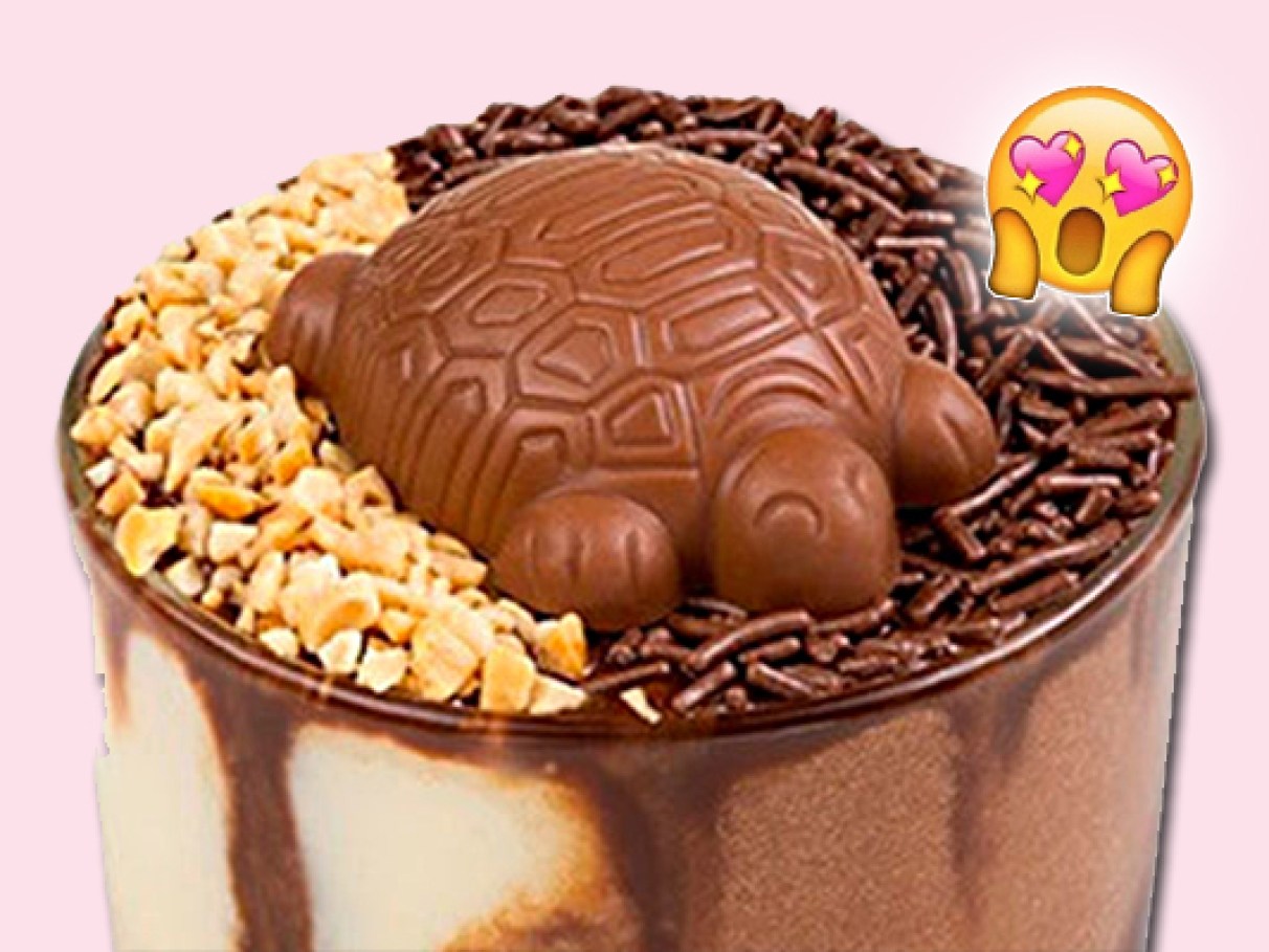 5 ideias de títulos:
1. A História da Tortuguita: Do Chocolate Infantil ao Ícone Pop Brasileiro
2. Descubra os Sabores da Tortuguita: Um Guia Completo de Produtos
3. O Ritual da Tortuguita: Como Saborear Seu Chocolate de Forma Divertida
4. Onde Encontrar Tortuguita: Guia de Compras Online e em Atacado
5. Arcor e Tortuguita: Uma Parceria de Sucesso no Mercado de Chocolates