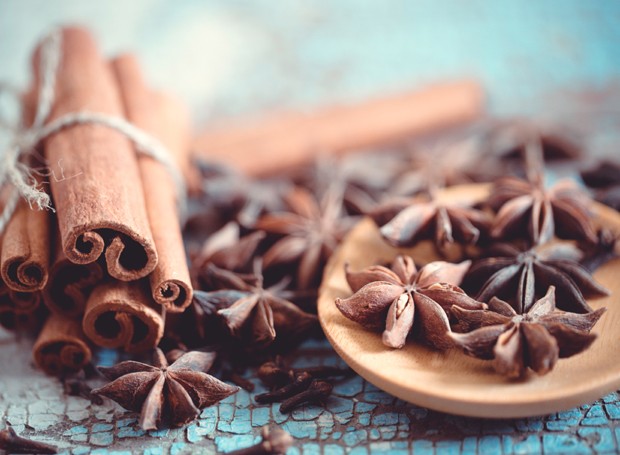 melhores truques naturais para espantar formigas da cozinha