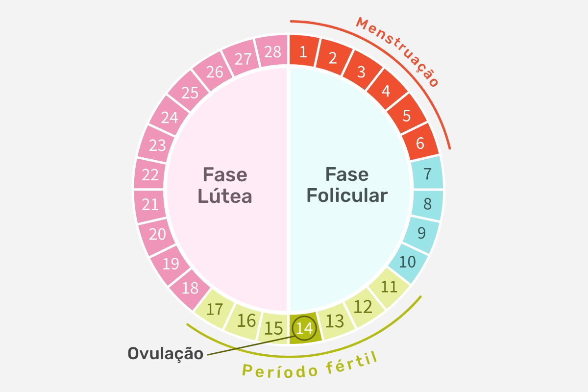 1. Entendendo as Fases do Ciclo Menstrual
2. TPM: Sintomas e Alívio
3. Menarca e Menopausa: Marcos da Vida Feminina
4. Cólicas Fortes: Causas e Soluções
5. O Que Causa Atraso Menstrual?