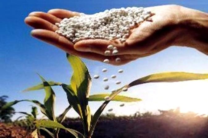 Ureia como Fertilizante: Otimizando o Crescimento e a Produtividade Agrícola