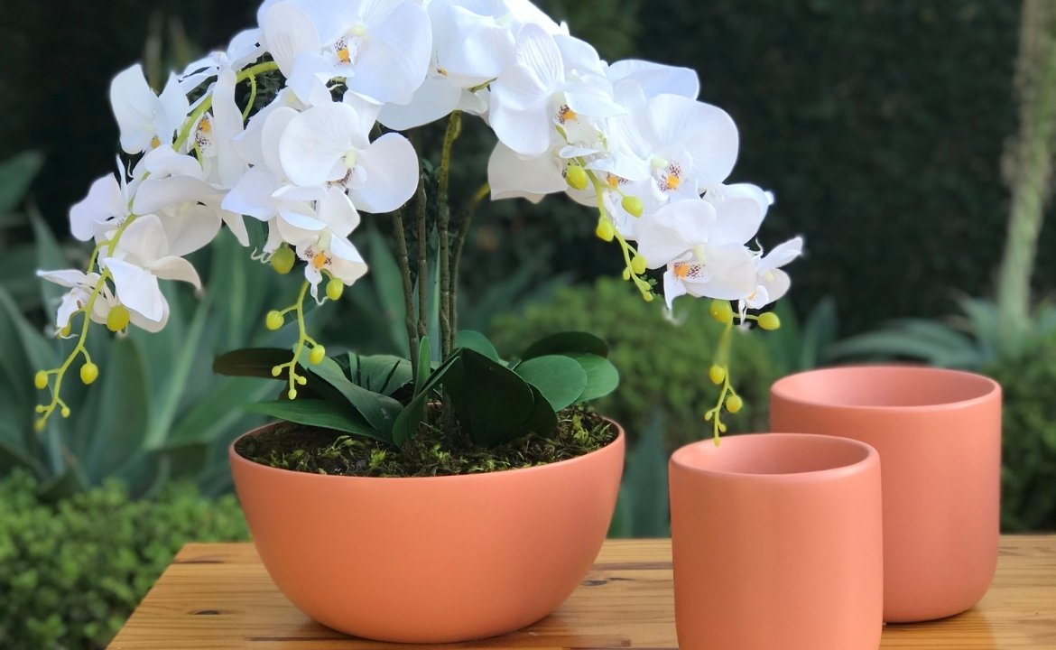 vaso de barro ou plastico para orquideas