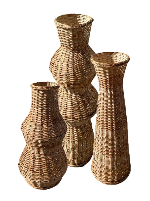 vaso de chão para plantas naturais sala