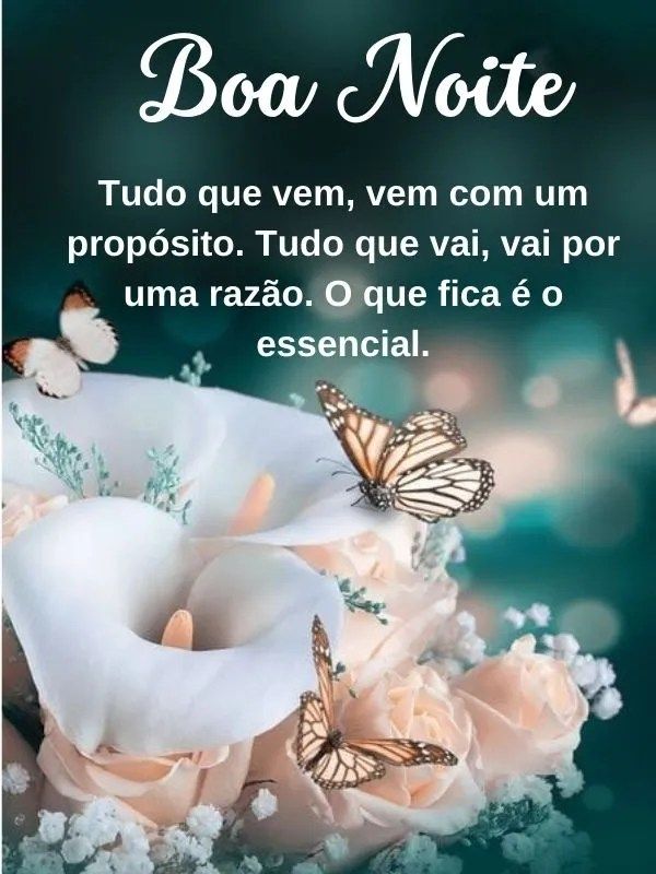 melhores frases de boa noite para status do whatsapp