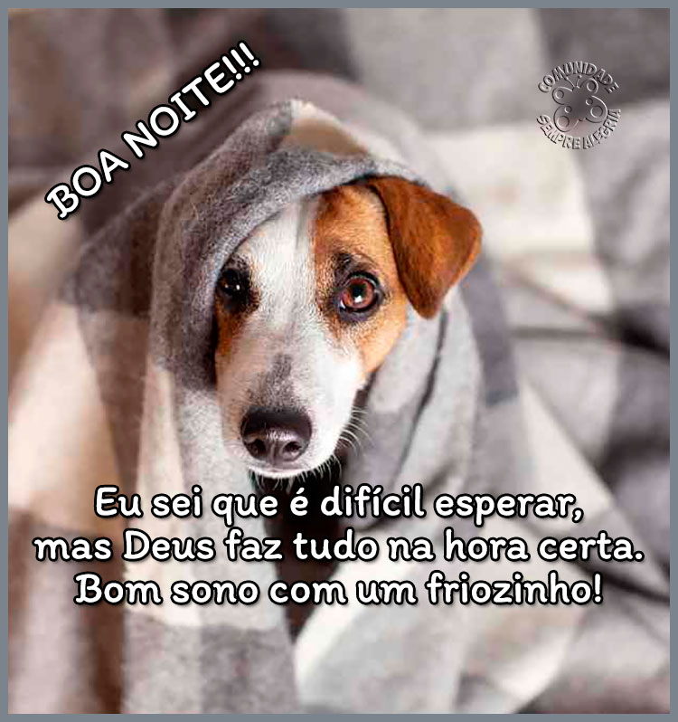 bem-estar no clima frio