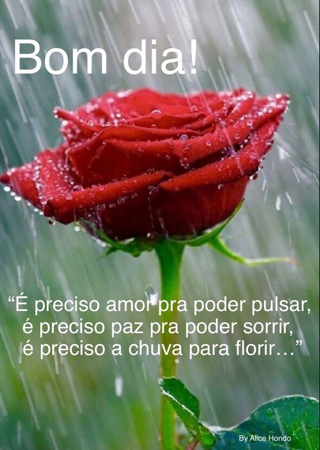 bom dia de fim de semana chuvoso